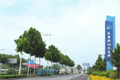 答卷2021 濟南軟件與信息技術服務業——拼搏不息，“走在前”的強勁引擎